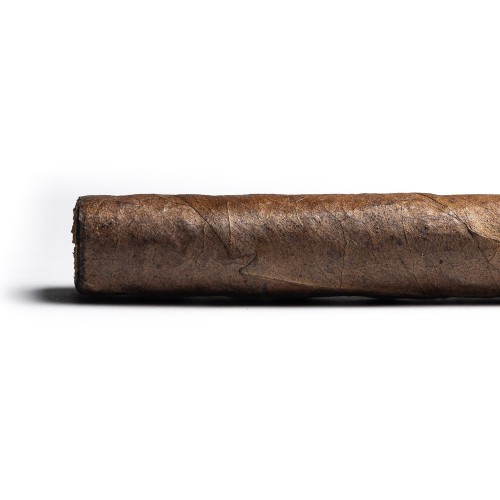 Casa Magna Colorado by Quesada Corona Cigar - 1 Single (End of Line)